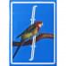 FONTAINE BIRDIE