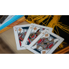 IN SESSION (SENIOR YEAR) PLAYING CARDS
