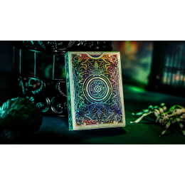 KEYHOLE REFLECTIONS ON THE WALL PLAYING CARDS BY TCC
