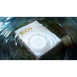 KOI V2 PLAYING CARDS BY BYRON LEUNG