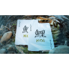 KOI V2 PLAYING CARDS BY BYRON LEUNG