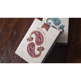 MARKED PAISLEY TON SUR TON POUDRE ROUGE PLAYING CARDS