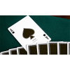 PINA (MARKED) PLAYING CARDS (крапленые)