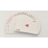 PLAYERS' ELITES MARKED DECK PLAYING CARDS