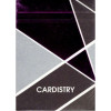 PURPLE CARDISTRY by BOCOPO