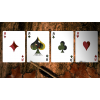 SECRET TALE OF ROBIN HOOD: BLACK OWL PLAYING CARDS