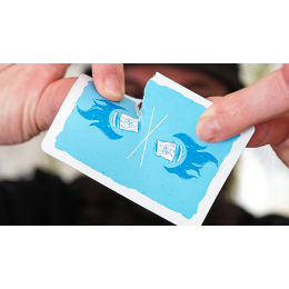 TRASH AND BURN (BLUE) PLAYING CARDS