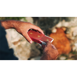 VISA RED PLAYING CARDS