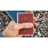 VISA RED PLAYING CARDS
