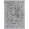 ALABASTER DAVID LUXURY PLAYING CARDS BY TCC FASHION