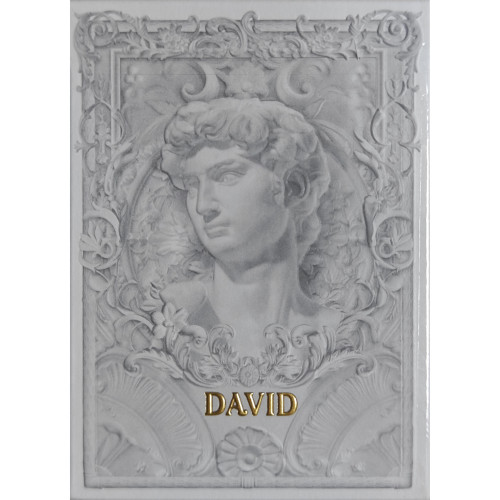 Игральные карты ALABASTER DAVID LUXURY PLAYING CARDS BY TCC FASHION
